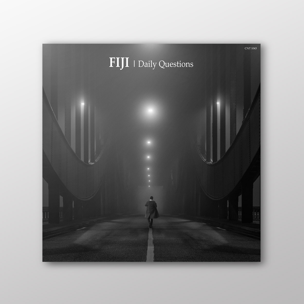Fiji - Daily Questions